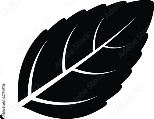 Silhouette vector of a simple organic natural plant leaf design