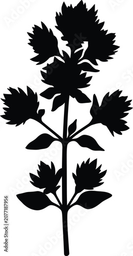 Silhouette vector of a wild herb plant with blooming flowers design