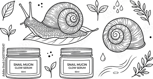 Cuadro en lienzo Snail Mucin Beauty Care Element Set with Glass Cream Jars Snail Mascot Leaf Orna