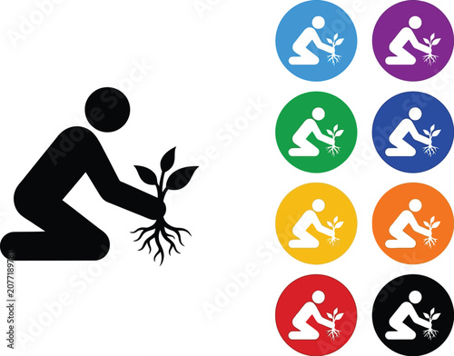 Person kneeling down to plant a young green seedling into the soil for garden growth