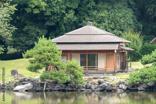 Traditional Japanese wooden pavilion with pine trees