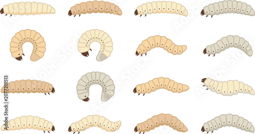 Konstfotografi Insect Larva and Beetle Grub Vector Icon Set Featuring Various Pest Maggot Cater
