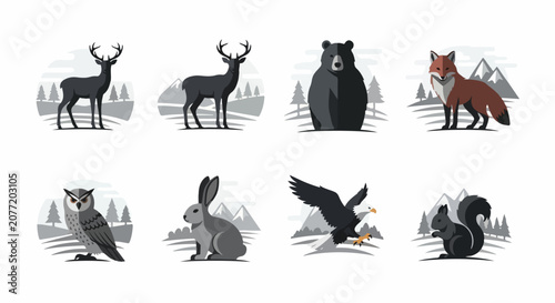 Wildlife Forest Animal Illustrations.