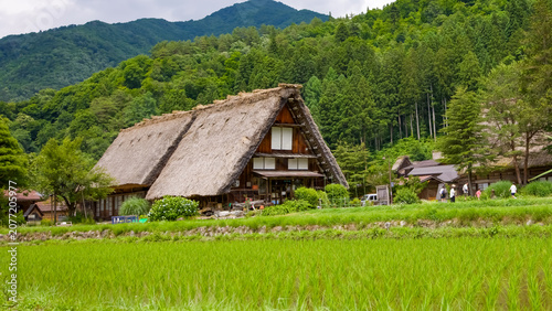 Bild auf Leinwand 藁葺き屋根と緑の囲い