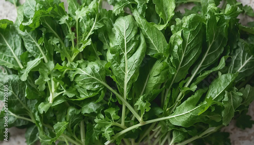Arugula leaves, in top view layout.