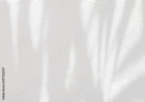 Leaf shadow and light on white concrete wall, overlay effect for photo, mock up, product, wall art, design presentation