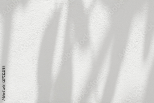 Leaf shadow and light on white concrete wall, overlay effect for photo, mock up, product, wall art, design presentation