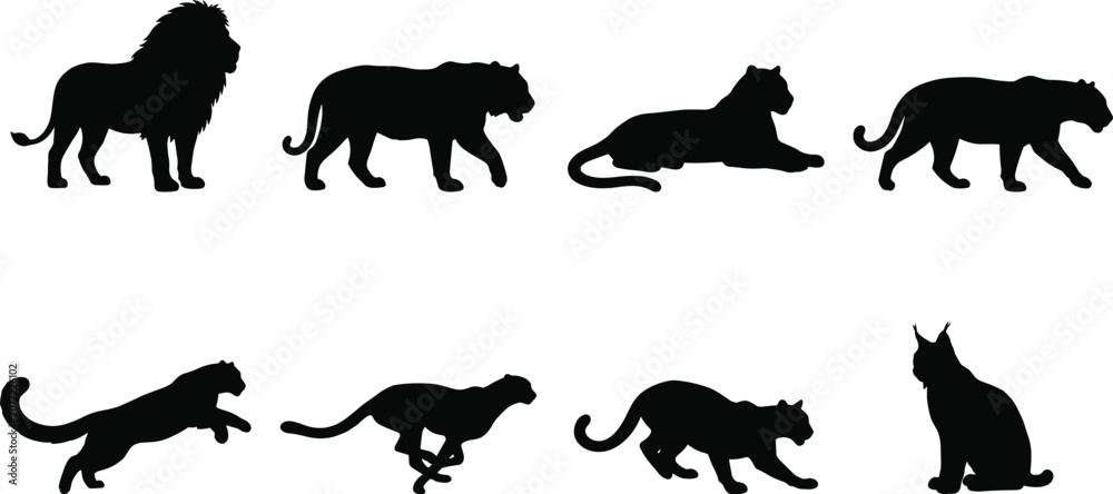 Obraz premium Black Silhouette Vector Set of Lions Tigers Panthers Leopards and Cheetahs