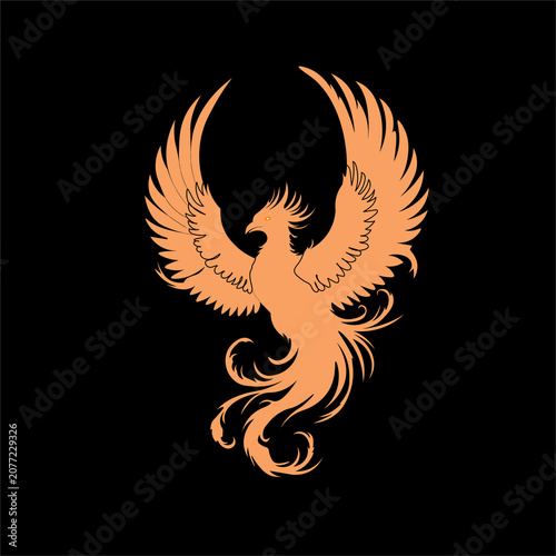 Obraz na plátně Phoenix Illustration Orange Vector Artwork On Black Background