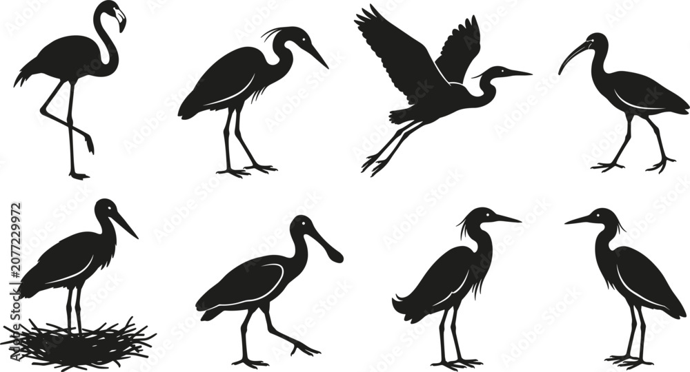 Naklejka premium Wading Bird Silhouette Icon Set Featuring Flamingo, Heron, Crane, Egret, Spoonbill, and Stork for Wetland Wildlife Designs