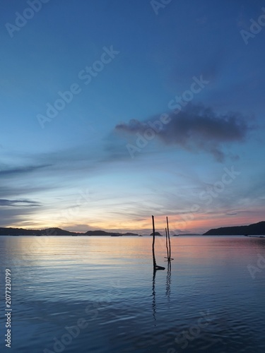 Obraz na plátně Wooden posts for mooring boats; a backdrop to the sea in the morning