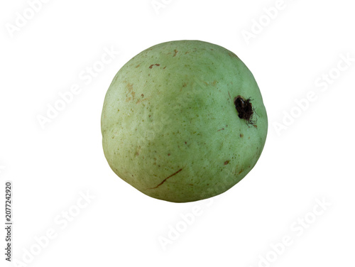 Single whole green guava fruit isolated on white background