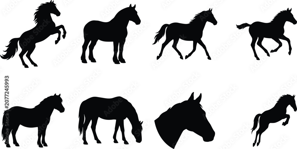 Fototapeta premium Horse Silhouette Collection Set with Standing Running Grazing and Rearing Vector Shapes