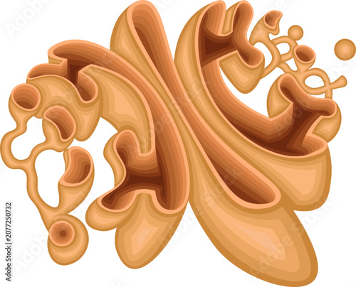 Bilde på lerret Golgi Apparatus Anatomy with Cis Face, Medial Cisternae, Trans face, CGN, TGN an