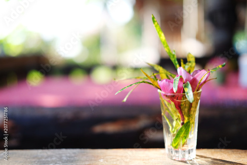 Beautiful fresh flower in glass vase on wooden table. Copy space