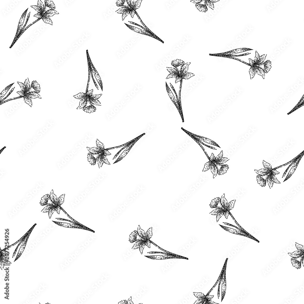 Fototapeta premium seamless pattern spring daffodil hand drawn. yellow bulb, narcissus perennial, petals fragrance spring daffodil black sketch illustration