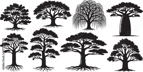 Set of eight different hand drawn black tree silhouettes for forest and nature design projects isolated on transparent background, Vector