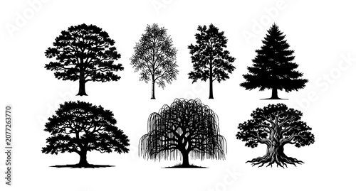 Set of black tree silhouettes showing different species for nature and forest design projects isolated on transparent background, Vector