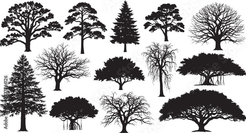 Set of black tree silhouettes in various shapes including pine oak and deciduous trees for nature design elements isolated on transparent background, Vector