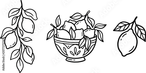 Schilderij op canvas Seamless pattern with lemons, leaves and lemon slices hand drawn vector illustra