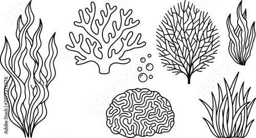 Bilde på lerret Underwater coral reef and seaweed line art icons set with kelp sea anemone vector illustration
