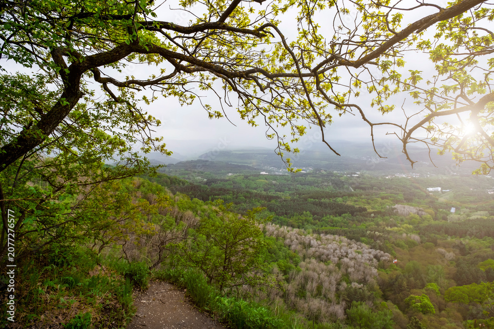Fototapeta premium Green forest, mountains Caucasus. Scenic trail, slope, spring nature landscape