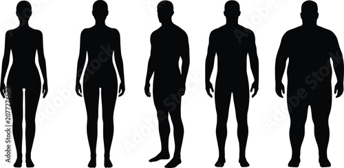 Photos Five Silhouettes Of Human Body Types On White Background shape