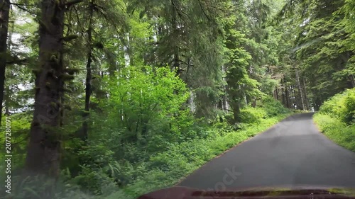 4K smooth action camera driving footage along a forest road toward the Saddle Mountain trailhead in Oregon's Coast Range, USA. Driver's POV through dense Pacific Northwest woodland