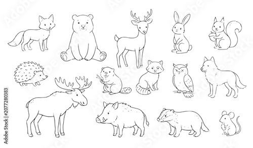 Canvas Print farm animals collection