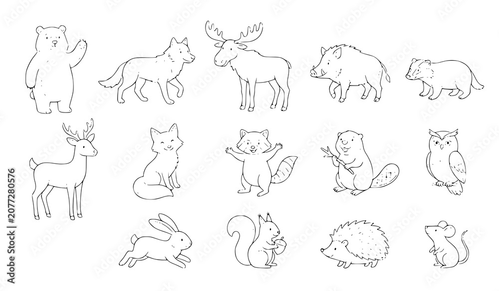 Obraz premium wild animals collection
