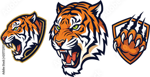 Fierce Tiger Mascot Vector Illustration Set with Roaring Wild Cat Head Logos, Shield Badges, Sharp Fangs, and Powerful Claw Marks for Sports Teams