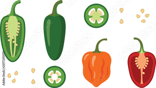 Фотография Vector illustration of hot chili peppers including jalapeno and habanero whole and halved with seeds isolated on white background for food design graphic