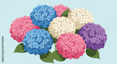 Vector illustration of an assortment of hydrangea flowers in blue, pink, white, and purple colors with green leaves on a light blue background, colorful floral bouquet composition.