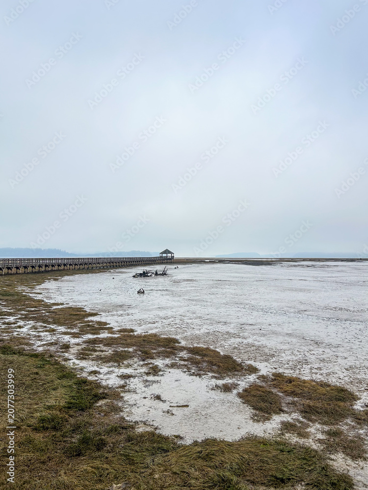 Fototapeta premium Mudflat at Low Tide