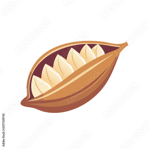 Pistachio Nut in Shell Vector Illustration