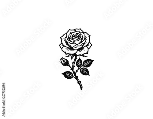 rose
