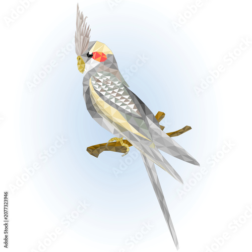 Cinnamon  cockatiel cute tropical bird funny  parrot outline low-polygon  vector illustration editable hand draw