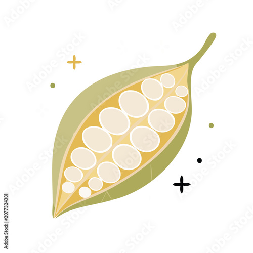Flat illustration of a pea pod with peas