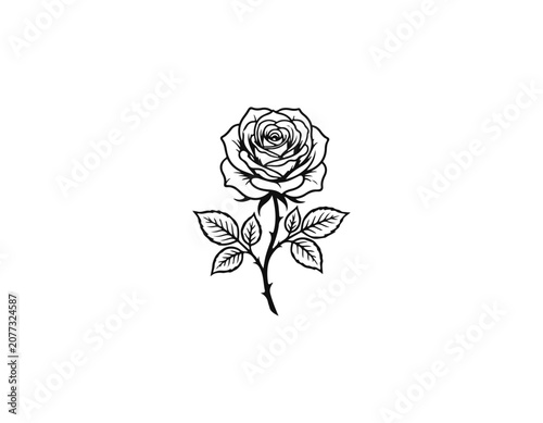 rose