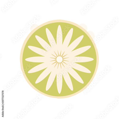 Citrus fruit slice with star pattern vector illustration