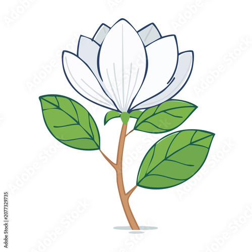 Flat design magnolia flower with green leaves