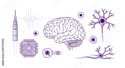 Human Brain and Neuron System Medical Illustration.