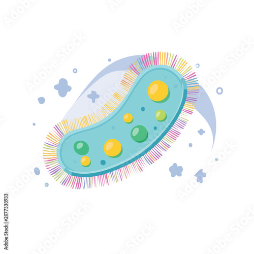 Paramecium Cell Flat Vector Illustration