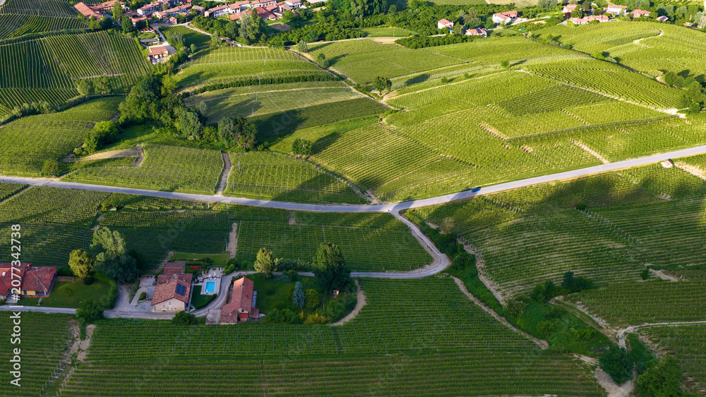 Fototapeta premium Aerial View of Rolling Green Vineyards and Countryside Village in Italy