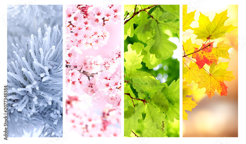 Fotografie Set of nature banners depicting natural world