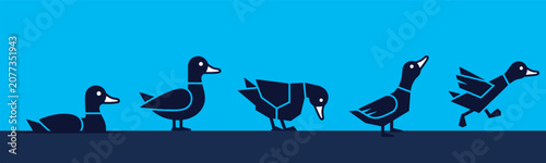 Fotografija Illustration of a duck in five different poses: swimming, standing, feeding, looking up, and running with wings out