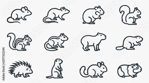 Bild auf Leinwand Sleek Black and White Line Drawing Illustrations of Various Rodents and Small Ma
