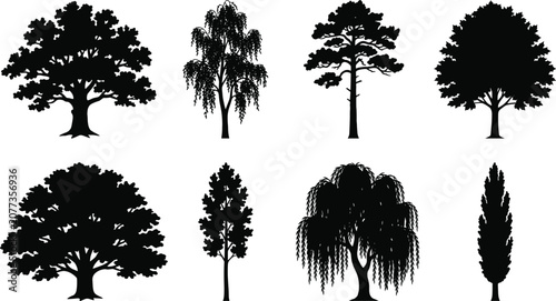 Valokuva Deciduous and coniferous trees vector silhouette collection featuring oak, pine,