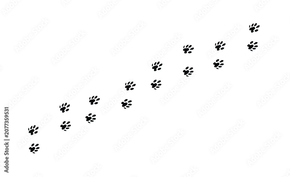 Obraz premium Otter Footprint Trail Animal Tracks Silhouette