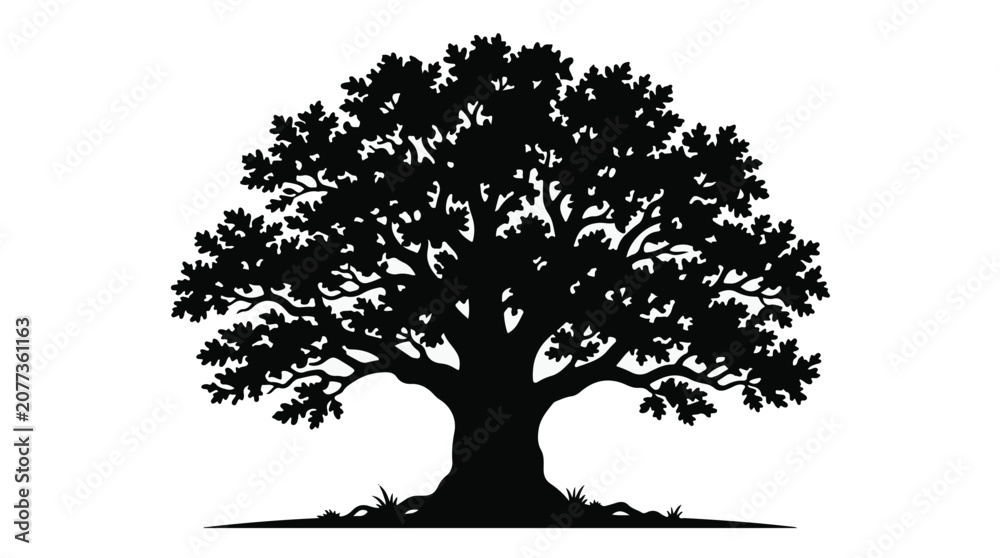 Fototapeta premium Large old oak tree silhouette landscape element isolated on white background